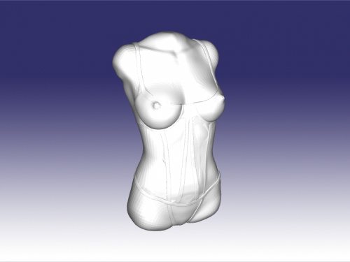 download Sexy bust free 3d model,download Sexy bust stl file free,download Sexy...