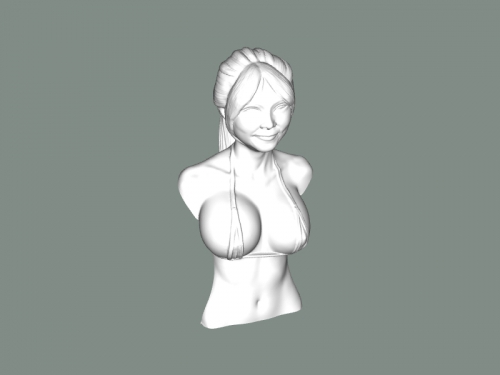 SexyCyborg bust free 3d model - download stl file