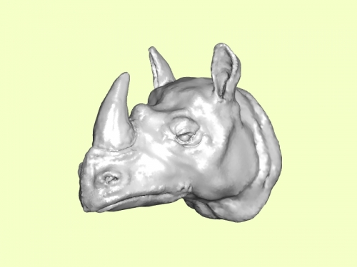 African Rhino Head Free 3d Model Download Obj File