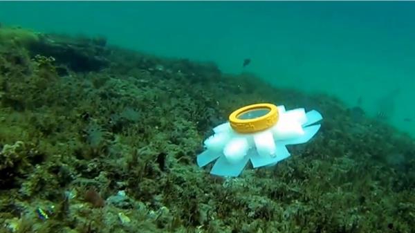 Робот-медуза для исследования коралловых рифов