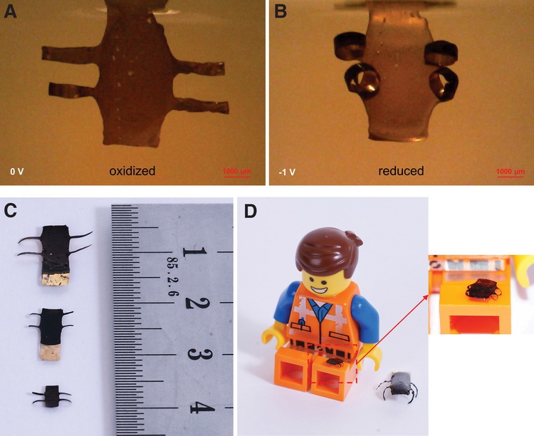 4D напечатанный робот в микро масштабах