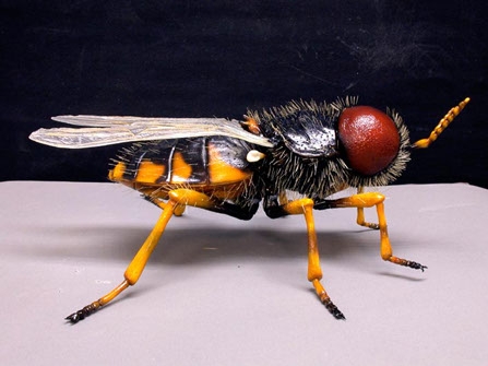 Потрясающе детализированные модели насекомых