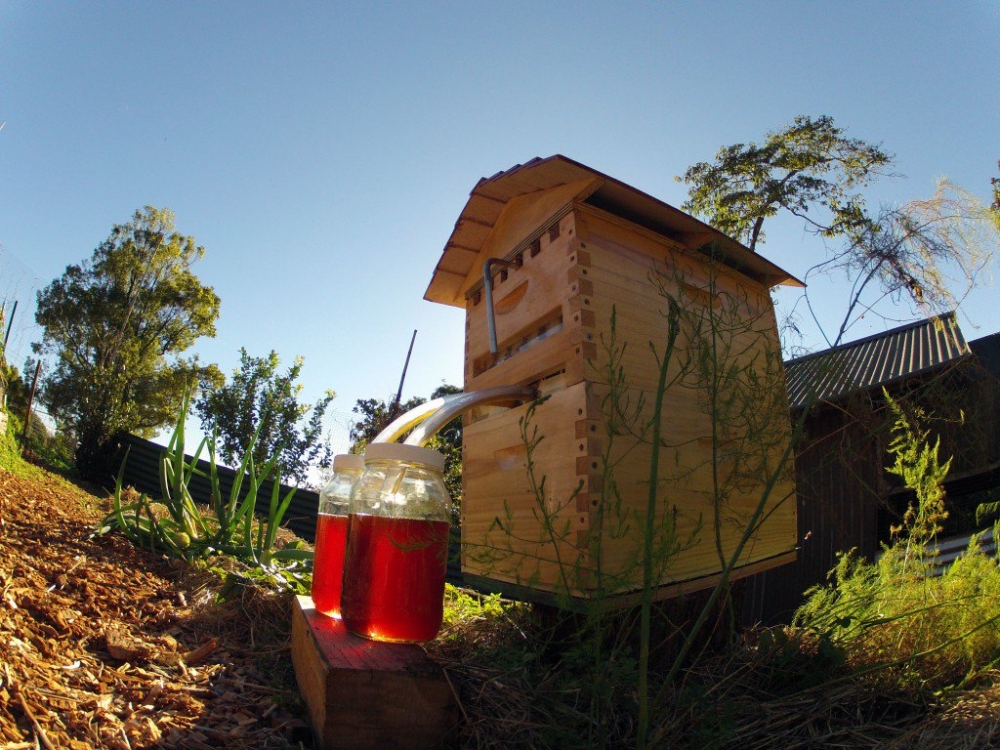 Напечатанные соты помогают получить мёд через кран