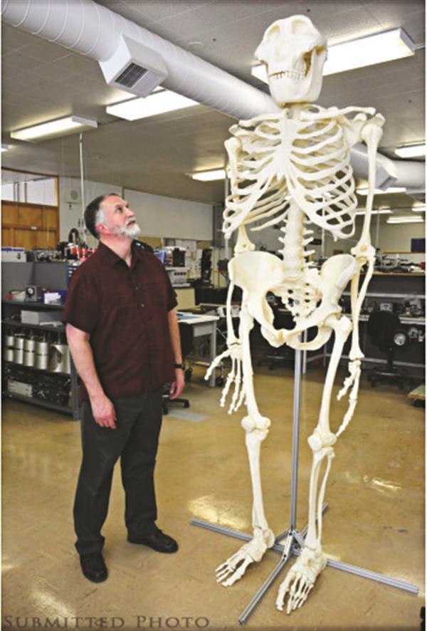 Напечатан скелет снежного человека