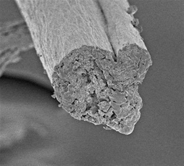 Нанофибриллы целлюлозы в качестве универсального биосовместимого материала