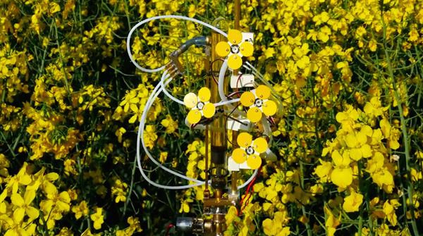 Напечатанные роботизированные цветы могут спасти пчёл