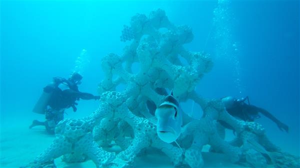Огромный напечатанный риф на Мальдивах