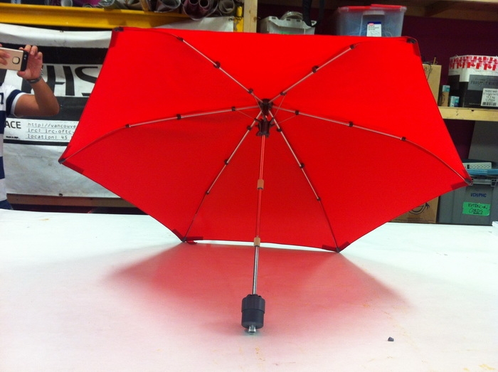 Напечатанный зонтик