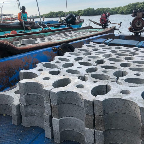 Напечатанные блоки для защиты коралловых рифов